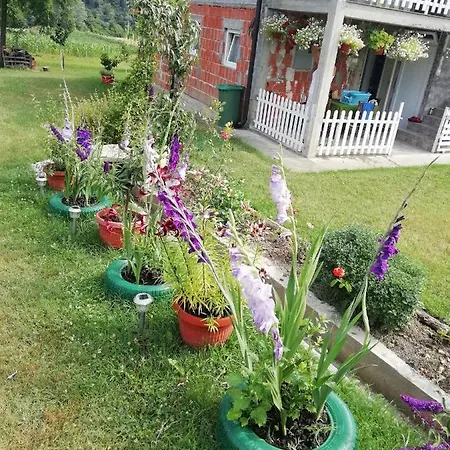 Kuca Drinska Dolina Gasthuis *