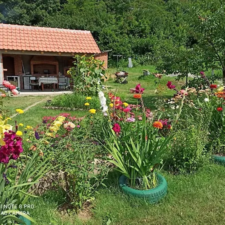 Kuca Drinska Dolina Bajina Basta